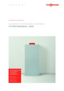 Prospectus produit Vitocrossal 300